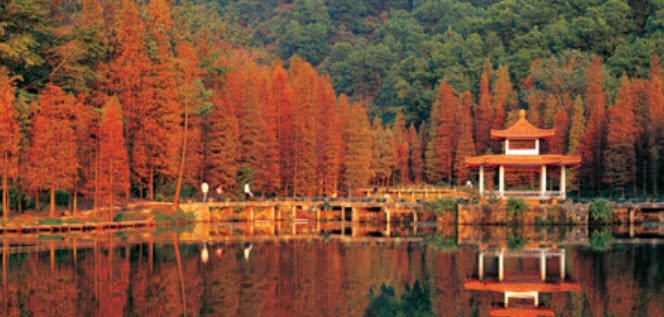 Fairy Lake Botanical Garden, Shenzhen, Guangdong, China